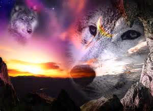 Meet your Posher, Mario